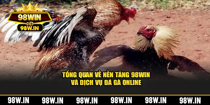 Tổng quan về nền tảng và dịch vụ đá gà online