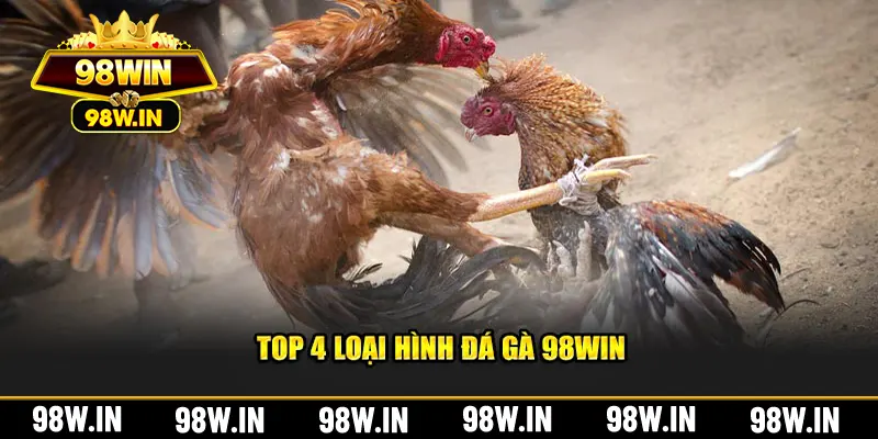 Top 4 loại hình đá gà 98win